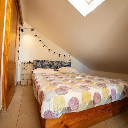 אכסניה Alex Surf