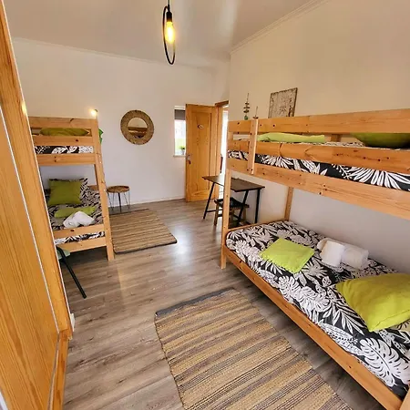 Alex Surf בליאל