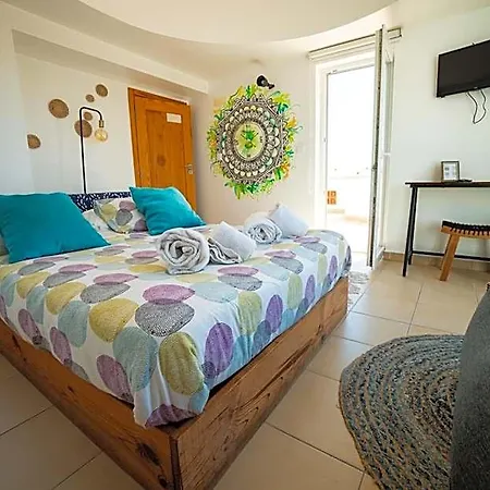 Hostel Alex Surf *
