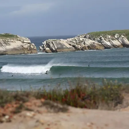 Hostel Alex Surf