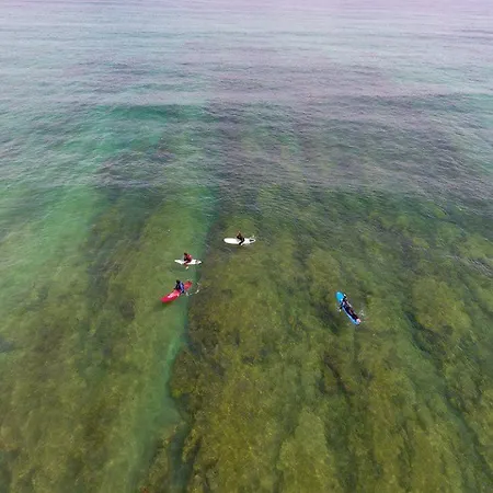 Alex Surf בליאל