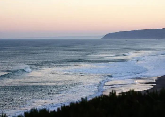 Alex Surf Albergue *